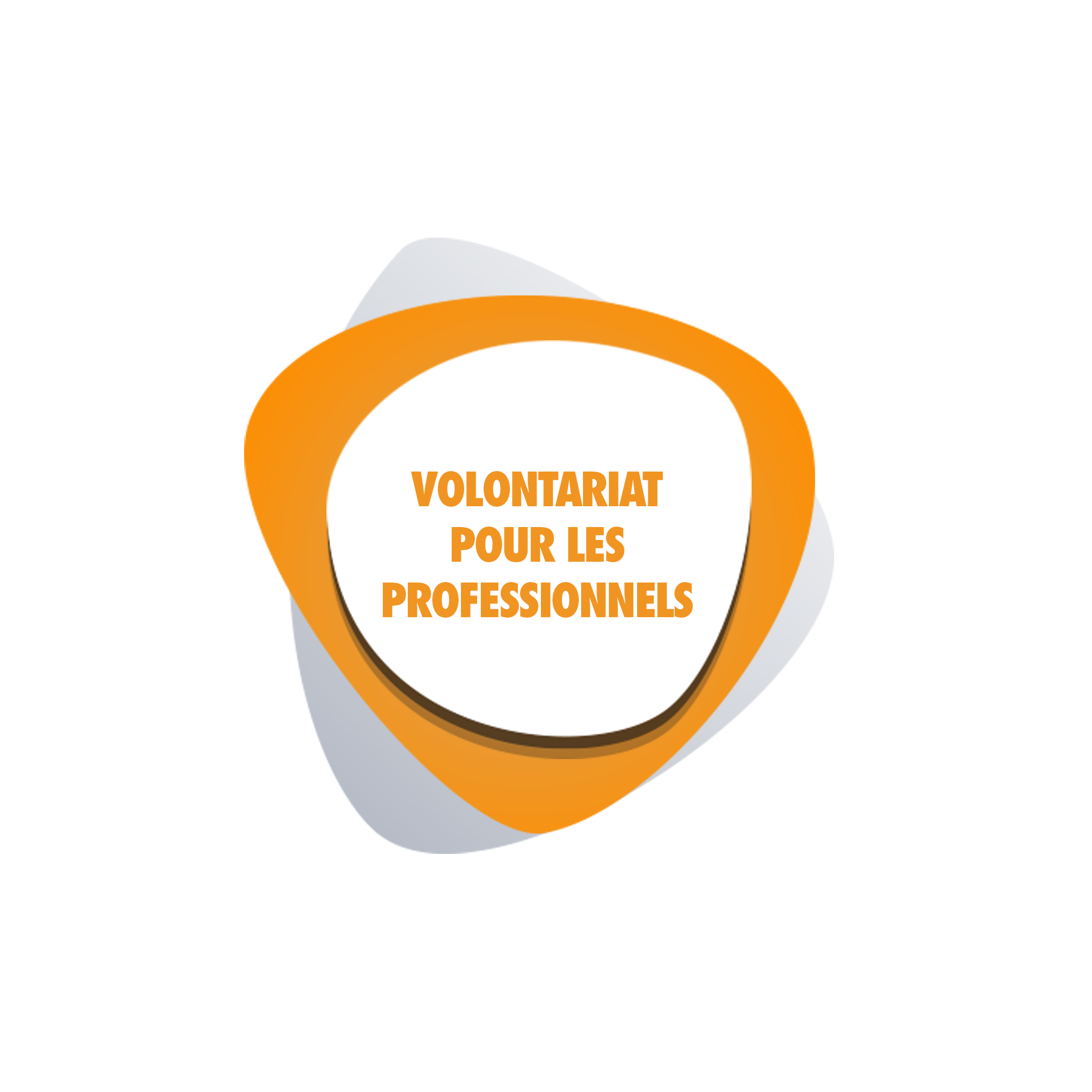 Volontariat pour les professionnels